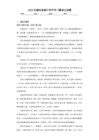 2023年湖北省咸宁市中考三模语文试题（含答案）