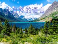 初中语文人教部编版八年级下册大自然的语言教学演示课件ppt