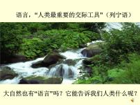 语文八年级下册大自然的语言授课ppt课件
