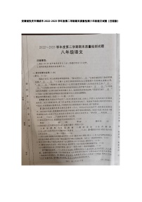 安徽省安庆市桐城市2022-2023学年八年级下学期期末质量检测语文试题