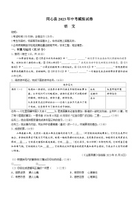 2023年宁夏吴忠市同心县中考模拟语文试题（含答案）