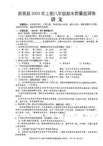 湖南省怀化市新晃侗族自治县2022-2023学年八年级下学期期末语文试题