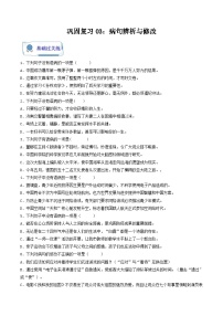 【暑假复习巩固】部编版语文七年级暑假-专题03：病句辨析与修改-综合练习（含解析）