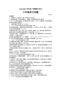 山东省泰安市肥城市2022-2023学年（五四学制）六年级下学期期末语文试题（含答案）