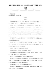 湖北省咸宁市嘉鱼县2022-2023学年八年级下学期期末语文试题（含答案）