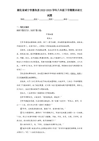 湖北省咸宁市嘉鱼县2022-2023学年八年级下学期期末语文试题(含答案)