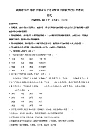 2023年四川省宜宾市中考语文真题
