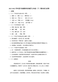 四川省绵阳市涪城区2022-2023学年七年级下学期期末语文试卷(含答案)