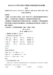 2023年四川省凉山彝族自治州中考语文真题（含解析）