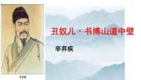 初中语文人教部编版九年级上册丑奴儿书博山道中壁示范课ppt课件