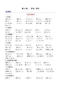 统编版语文八升九暑期提升讲练 第01练    字音字形 (原卷版+解析版）