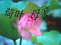 人教部编版七年级上册荷叶母亲示范课课件ppt
