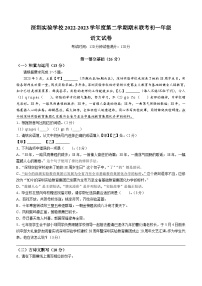 广东省深圳实验学校2022_2023学年七年级下学期期末语文试题
