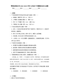 青海省海东市2022-2023学年七年级下学期期末语文试题（含答案）