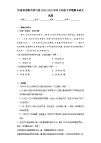 河南省洛阳市伊川县2022-2023学年七年级下学期期末语文试题（含答案）