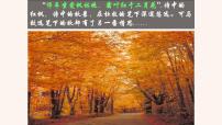 语文七年级上册天净沙秋思教案配套课件ppt