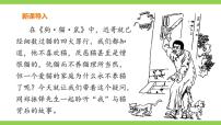 初中语文人教部编版七年级上册猫完美版课件ppt