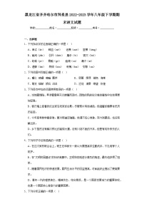 黑龙江省齐齐哈尔市拜泉县2022-2023学年八年级下学期期末语文试题（含解析）