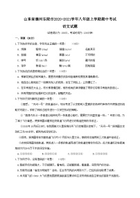 山东省德州乐陵市2020-2021学年八年级上学期期中考试语文试题（含答案）