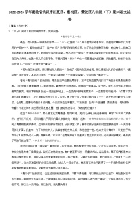 湖北省武汉市江夏区、蔡甸区、黄陂区2022-2023学年八年级下学期期末语文试题（含答案）