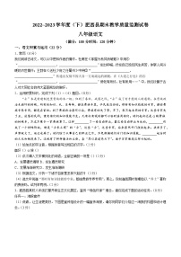 安徽省合肥市肥西县2022-2023学年八年级下学期期末语文试题