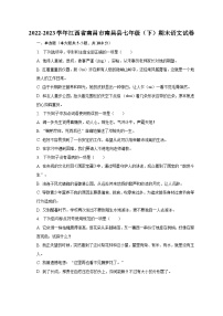 2022-2023学年江西省南昌市南昌县七年级（下）期末语文试卷