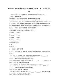 2022-2023学年河南省平顶山市汝州市八年级(下)期末语文试卷(含解析)
