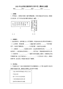 2023年山西省吕梁市孝义市中考三模语文试题（含解析）