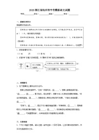 2023浙江省杭州市中考模拟语文试题（含解析）