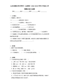 山东省烟台市芝罘区（五四制）2022-2023学年六年级上学期期末语文试题（含答案）