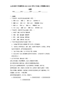山东省济宁市嘉祥县2022-2023学年八年级上学期期末语文试题（含答案）