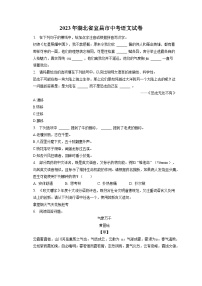 2023年湖北省宜昌市中考语文试卷（含答案解析）