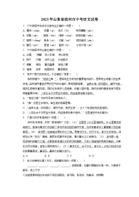 2023年山东省滨州市中考语文试卷（含答案解析）