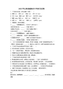 2023年山东省威海市中考语文试卷（含答案解析）