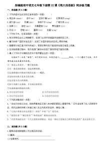 初中语文人教部编版七年级下册伟大的悲剧同步达标检测题
