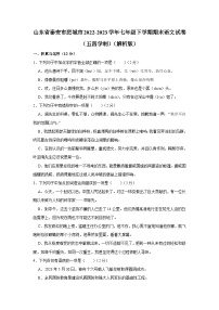 山东省泰安市肥城市2022-2023学年七年级（五四学制）下学期期末语文试卷（含答案）