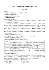 河南省洛阳市嵩县2022-2023学年九年级上学期期末语文试题（含答案）