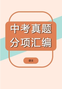 中考语文真题汇编第1期08