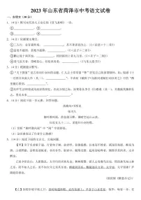 2023年山东省菏泽市中考语文试卷【附参考答案】