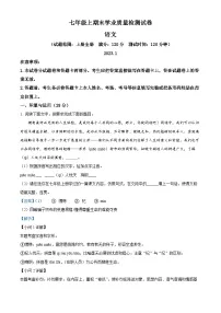 河南省安阳市汤阴县2022-2023学年七年级上学期期末语文试题（解析版）