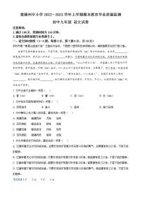 云南省楚雄彝族自治州2022-2023学年九年级上学期期末语文试题（解析版）