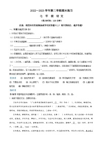 福建省龙岩市漳平市2022-2023学年七年级下学期期末语文试题（解析版）