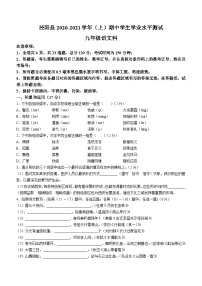 陕西省咸阳市泾阳县2020_2021学年九年级上学期期中语文试题