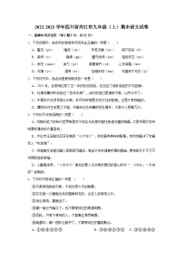 2022-2023学年四川省内江市九年级上学期期末语文试卷（含解析）