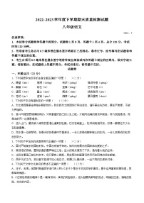 山东省临沂市兰山区2022-2023学年八年级下学期期末语文试题（含答案）