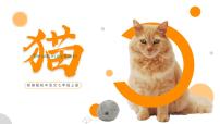 人教部编版七年级上册猫集体备课课件ppt