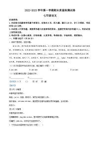 河南省平顶山市叶县2022-2023学年七年级上学期期末语文试题（解析版）