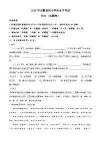 2023年安徽省中考语文真题（含详解）