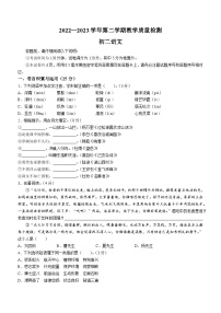 山东省威海市威海临港经济技术开发区2022-2023学年七年级下学期期末语文试题