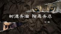 初中人教部编版狼课文配套课件ppt